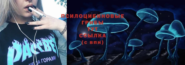 индика Белоозёрский