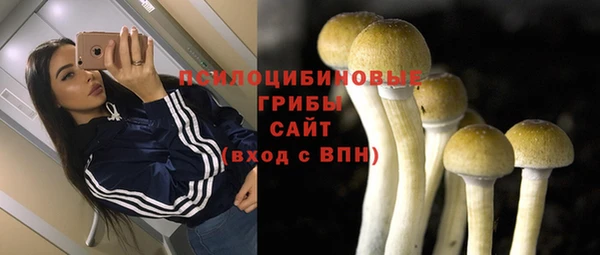герыч Бронницы