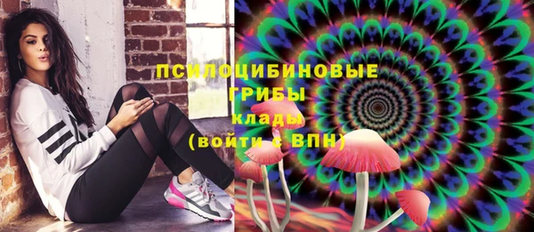 наркотики Бородино