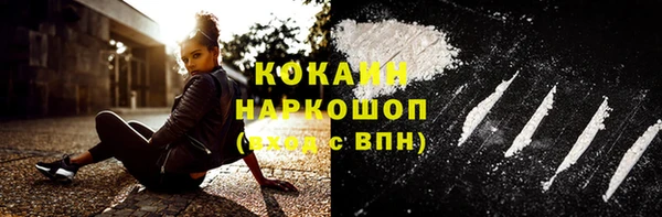индика Белоозёрский